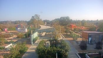 Weather camera view of Houston Botanic Garden.