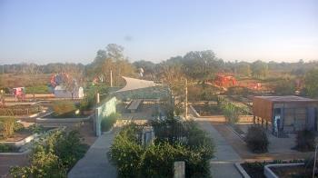 Weather camera view of Houston Botanic Garden.
