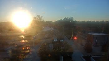 Weather camera view of Houston Botanic Garden.