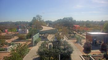 Weather camera view of Houston Botanic Garden.