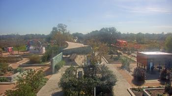 Weather camera view of Houston Botanic Garden.