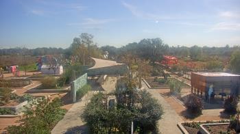 Weather camera view of Houston Botanic Garden.