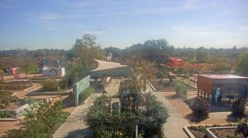 Weather camera view of Houston Botanic Garden.