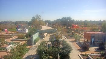 Weather camera view of Houston Botanic Garden.