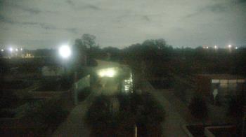 Weather camera view of Houston Botanic Garden.