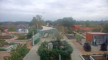 Weather camera view of Houston Botanic Garden.