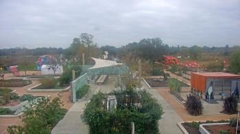 Weather camera view of Houston Botanic Garden.