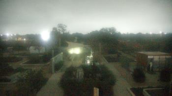 Weather camera view of Houston Botanic Garden.