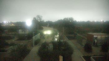 Weather camera view of Houston Botanic Garden.