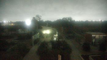 Weather camera view of Houston Botanic Garden.