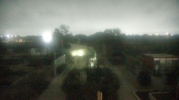 Weather camera view of Houston Botanic Garden.
