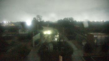 Weather camera view of Houston Botanic Garden.