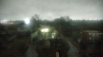 Weather camera view of Houston Botanic Garden.