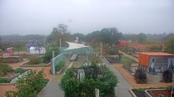 Weather camera view of Houston Botanic Garden.