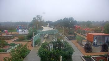 Weather camera view of Houston Botanic Garden.