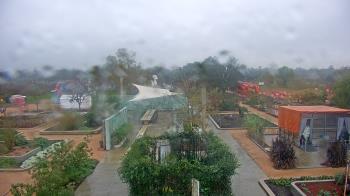 Weather camera view of Houston Botanic Garden.