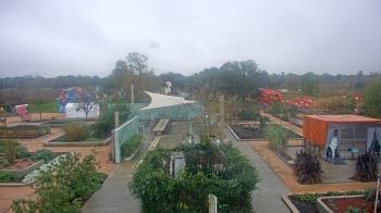 Weather camera view of Houston Botanic Garden.