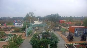 Weather camera view of Houston Botanic Garden.