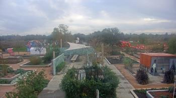 Weather camera view of Houston Botanic Garden.