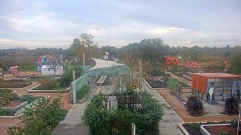 Weather camera view of Houston Botanic Garden.