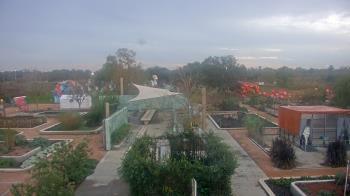 Weather camera view of Houston Botanic Garden.