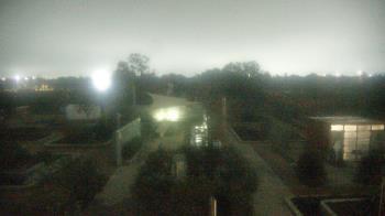 Weather camera view of Houston Botanic Garden.