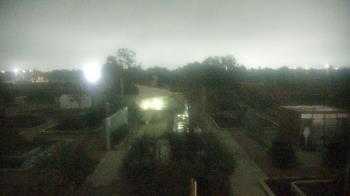 Weather camera view of Houston Botanic Garden.