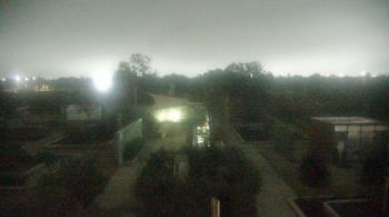Weather camera view of Houston Botanic Garden.
