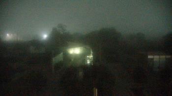 Weather camera view of Houston Botanic Garden.