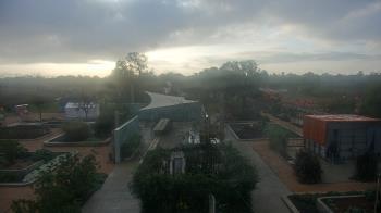 Weather camera view of Houston Botanic Garden.