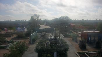 Weather camera view of Houston Botanic Garden.