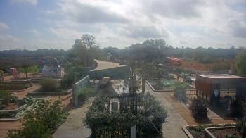 Weather camera view of Houston Botanic Garden.