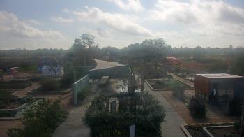 Weather camera view of Houston Botanic Garden.