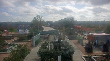 Weather camera view of Houston Botanic Garden.