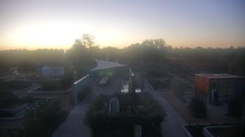 Weather camera view of Houston Botanic Garden.