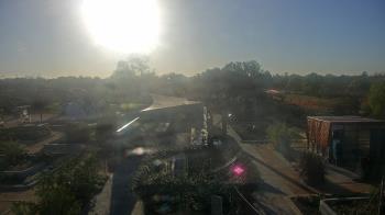 Weather camera view of Houston Botanic Garden.