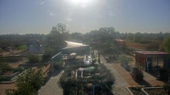 Weather camera view of Houston Botanic Garden.