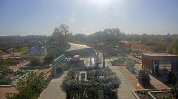 Weather camera view of Houston Botanic Garden.