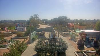 Weather camera view of Houston Botanic Garden.