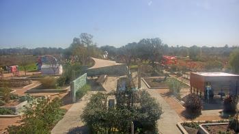 Weather camera view of Houston Botanic Garden.