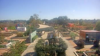 Weather camera view of Houston Botanic Garden.