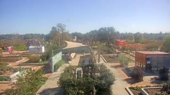 Weather camera view of Houston Botanic Garden.