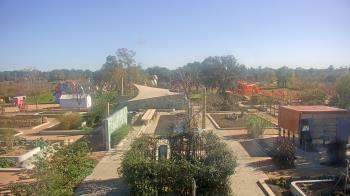 Weather camera view of Houston Botanic Garden.