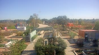 Weather camera view of Houston Botanic Garden.