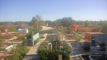 Weather camera view of Houston Botanic Garden.