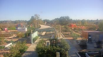 Weather camera view of Houston Botanic Garden.