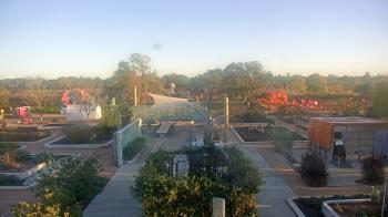 Weather camera view of Houston Botanic Garden.