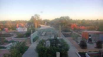 Weather camera view of Houston Botanic Garden.