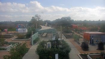 Weather camera view of Houston Botanic Garden.