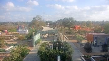 Weather camera view of Houston Botanic Garden.